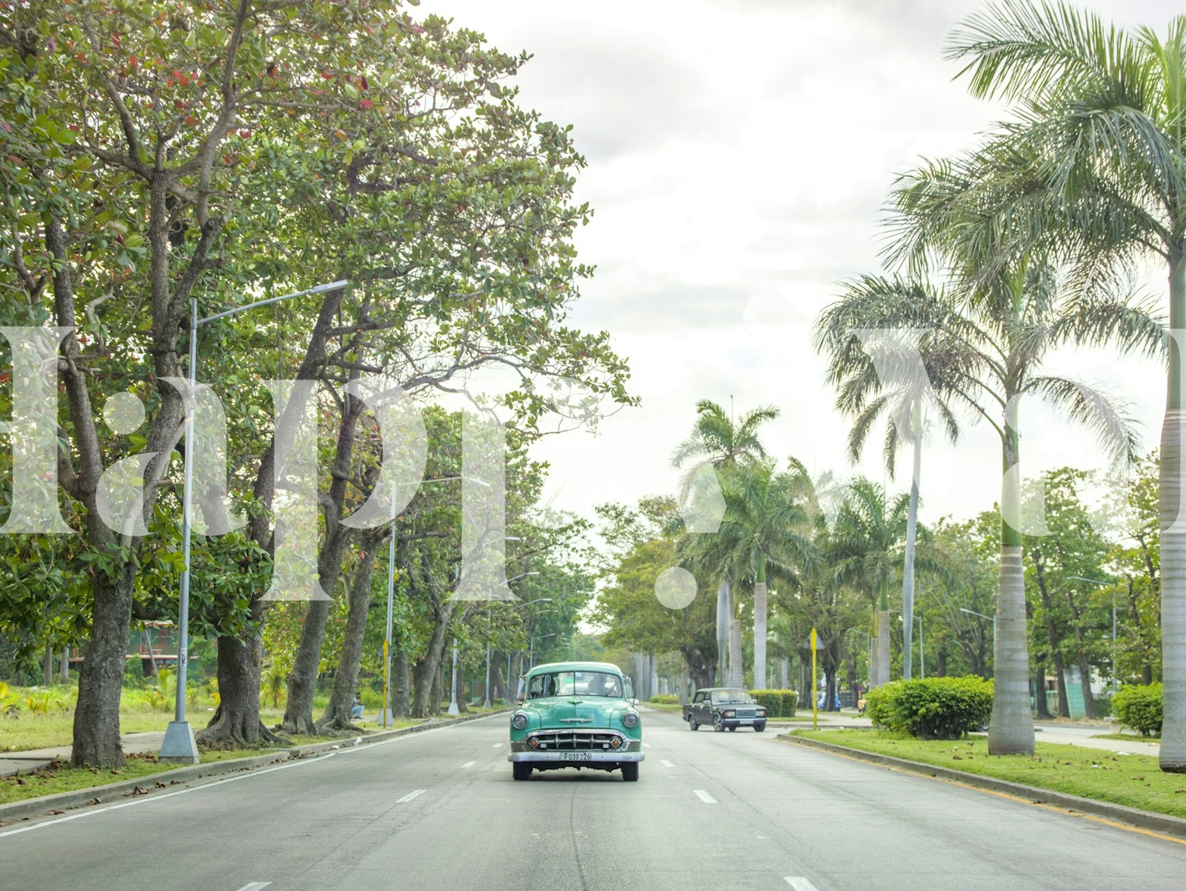 Vintage car wallpaper in a room setting