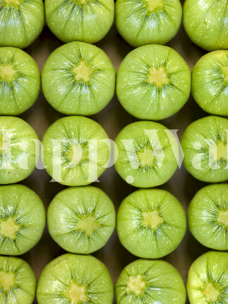 Courgettes wallpaper in a living area