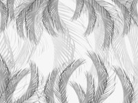 Soft Gray Black White Feather Palm Bliss 1 wallpaper