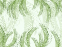 Fresh Green Feather Palm Bliss 1 wallpaper