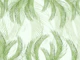 Fresh Green Feather Palm Bliss 1