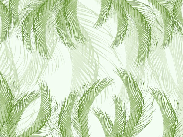 Fresh Green Feather Palm Bliss 1