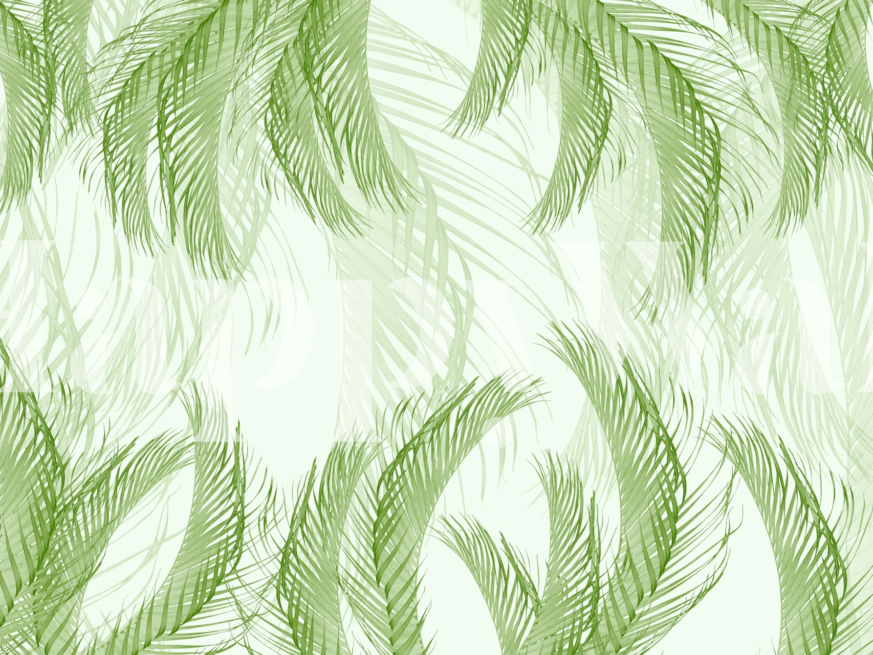 Fresh Green Feather Palm wallpaper design