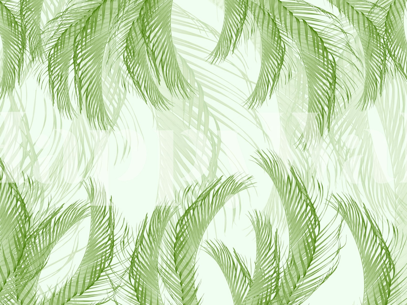 Design di carta da parati Fresh Green Feather Palm