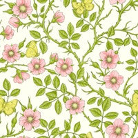 Wild roses and butterflies wallpaper