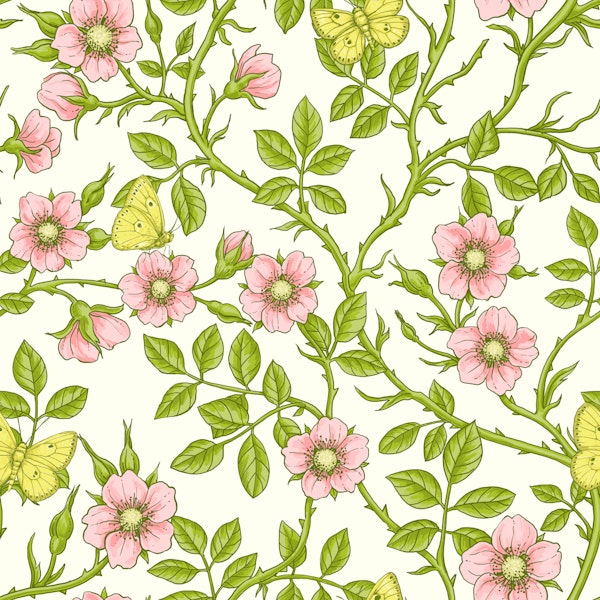 Wild roses and butterflies