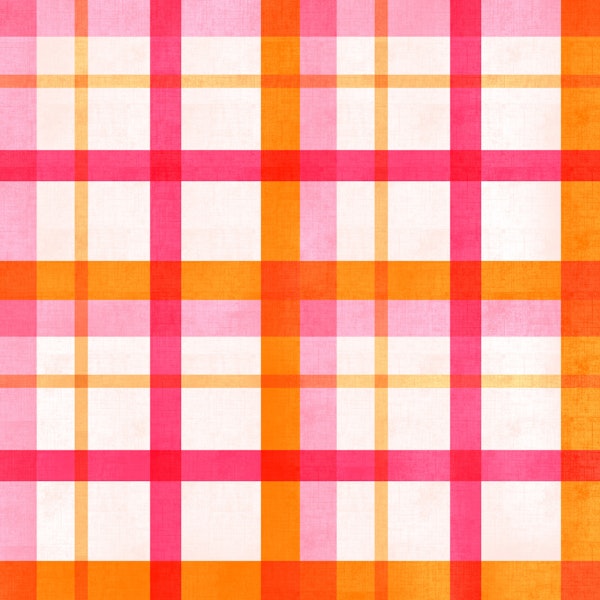 Vibrant Checkered Delight
