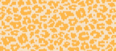 Patroon