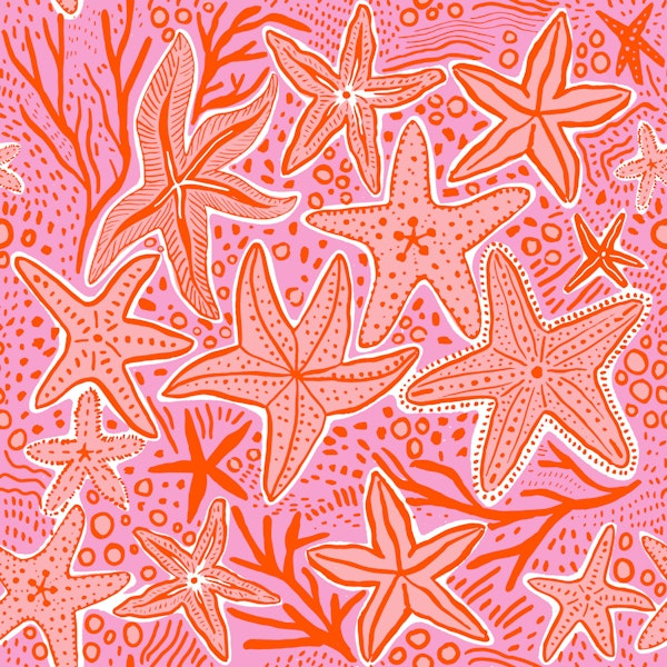 Vibrant Starfish Delight