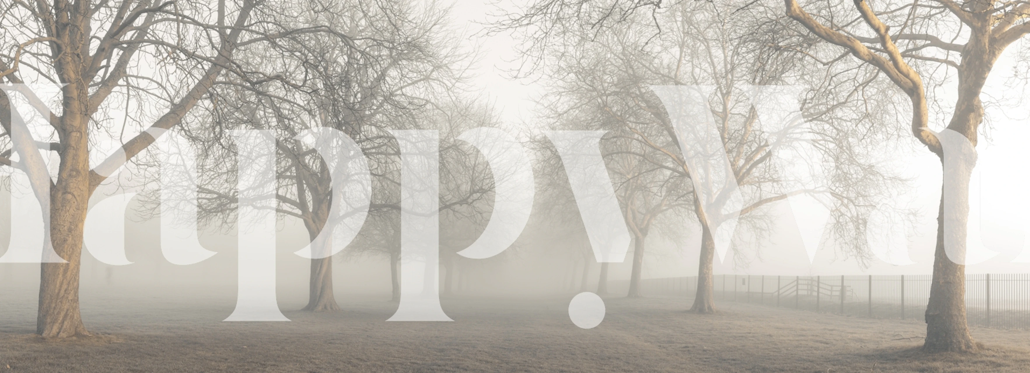 Tapeta Enchanted Foggy Path v místnosti