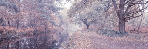Autumnal CanalsideView