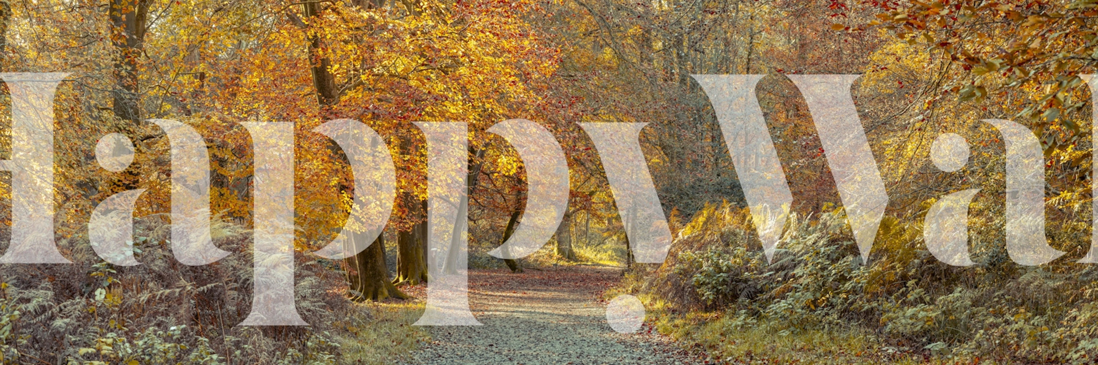 Wallpaper design of a trail in autumn woods
