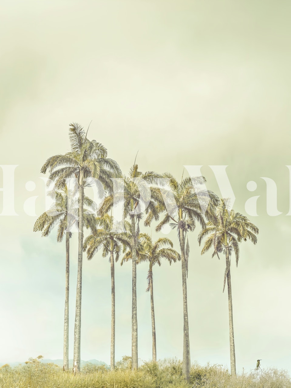 Tropical palm trees against a soft pastel background wallpaper