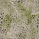 Animal pattern mix jungle green