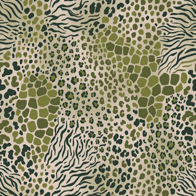 Pattern