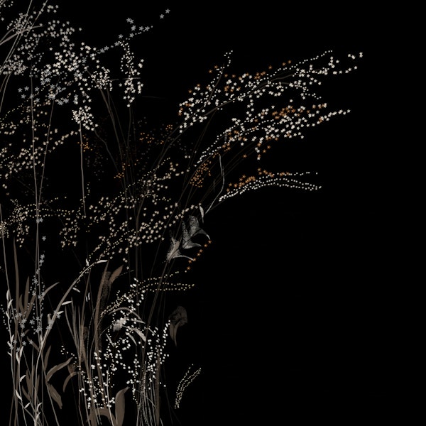 Mystical Night Blossoms