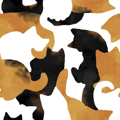 Pattern
