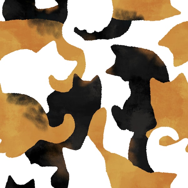Calico Cat Camo