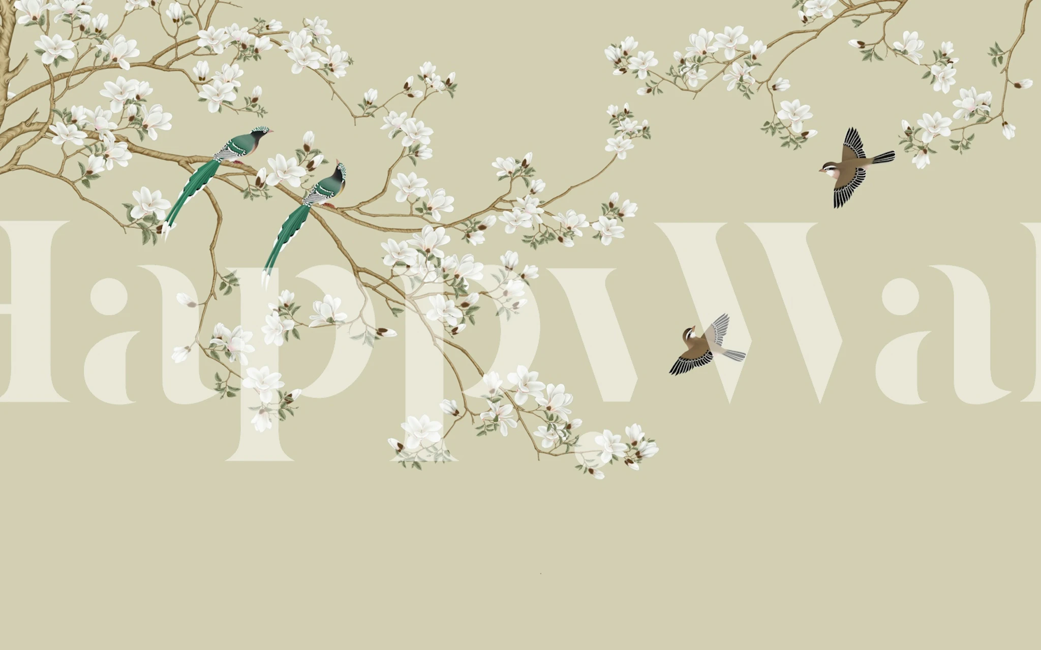 Delicate white blossoms and birds on a soft green background wallpaper