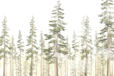 Mural