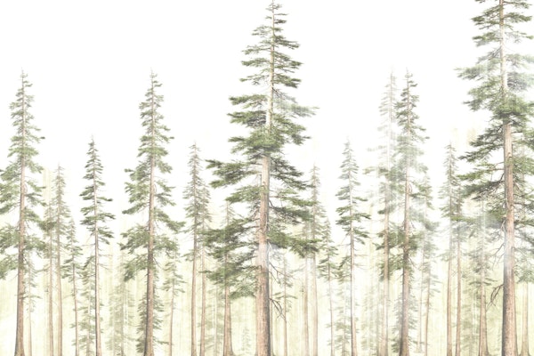 Serene Woodland Escape
