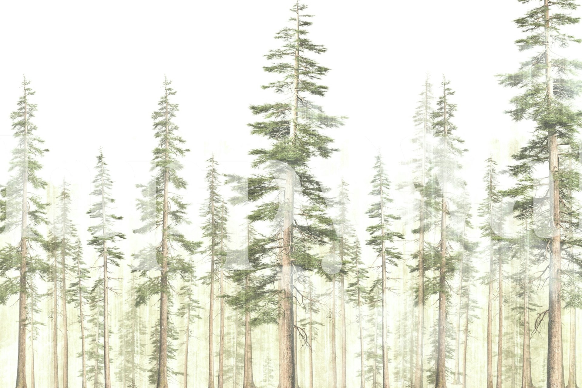 Tall evergreen trees in soft greens and browns wallpaper