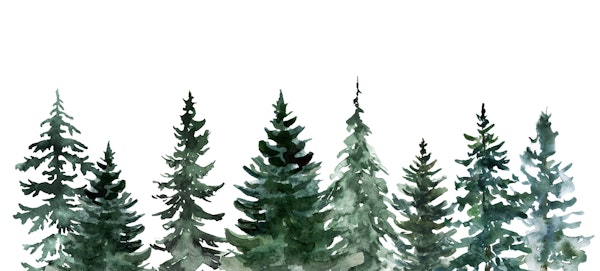 Green Pine Trees Abstract Art