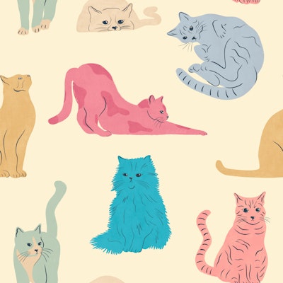 Pattern