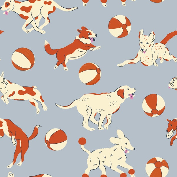 Happy Dogs and Beach Balls