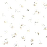 Charming Daisies In White wallpaper