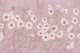 Pastel Harmony 6