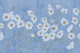 Pastel Harmony 7