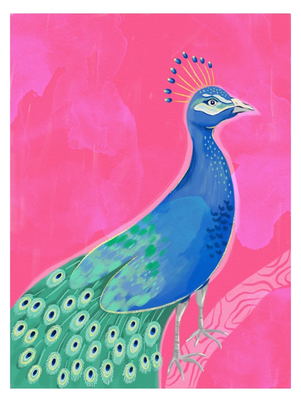 Vibrant Peacock Bliss