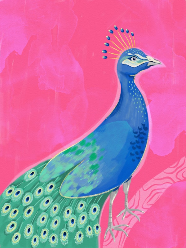 Vibrant Peacock Bliss