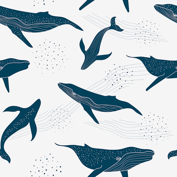 Playful Whales in Blue