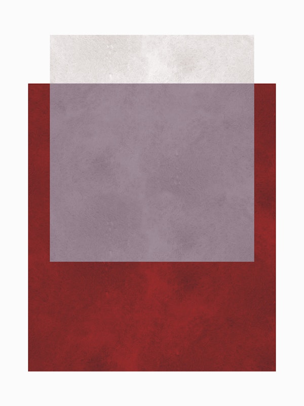 Bold Color Block Fusion