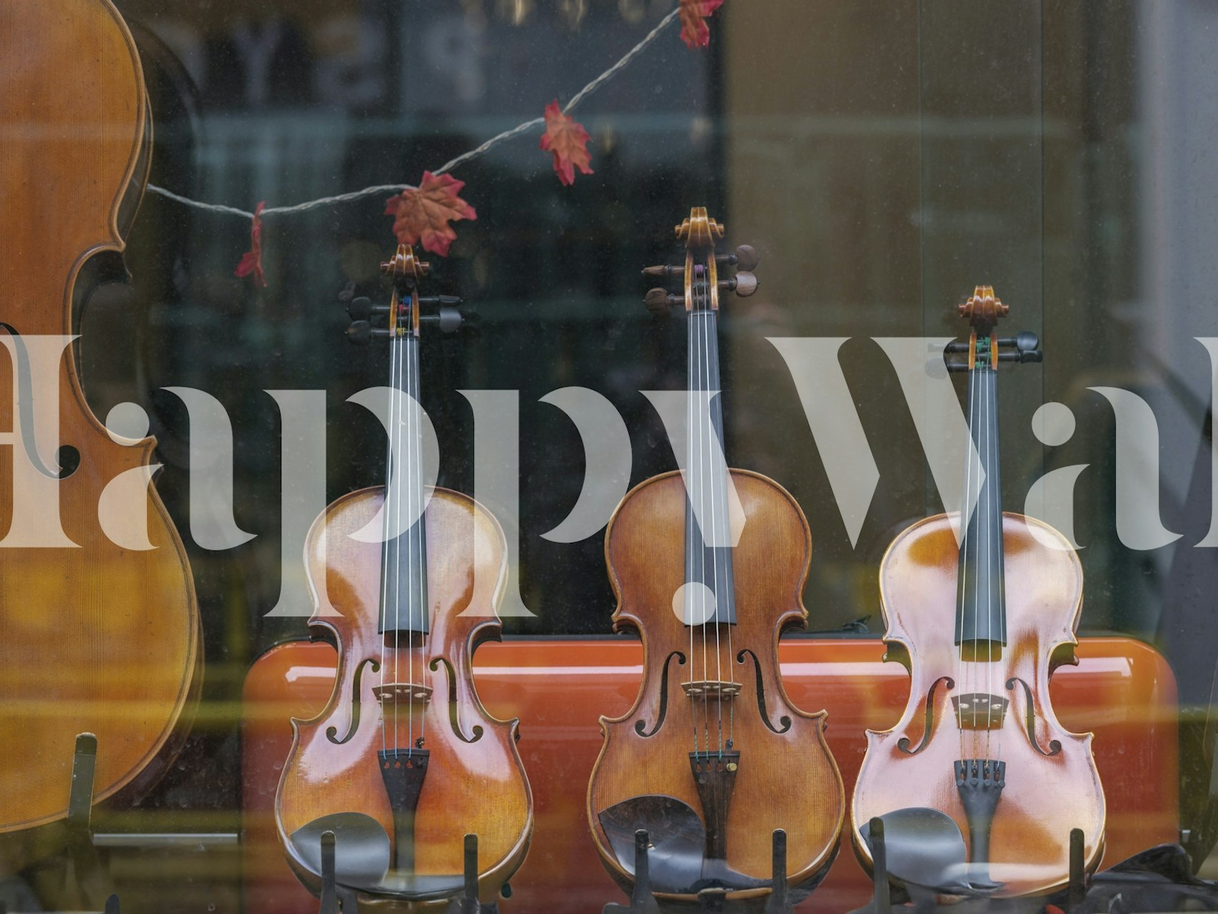 Tapeta Melody of Strings s houslemi