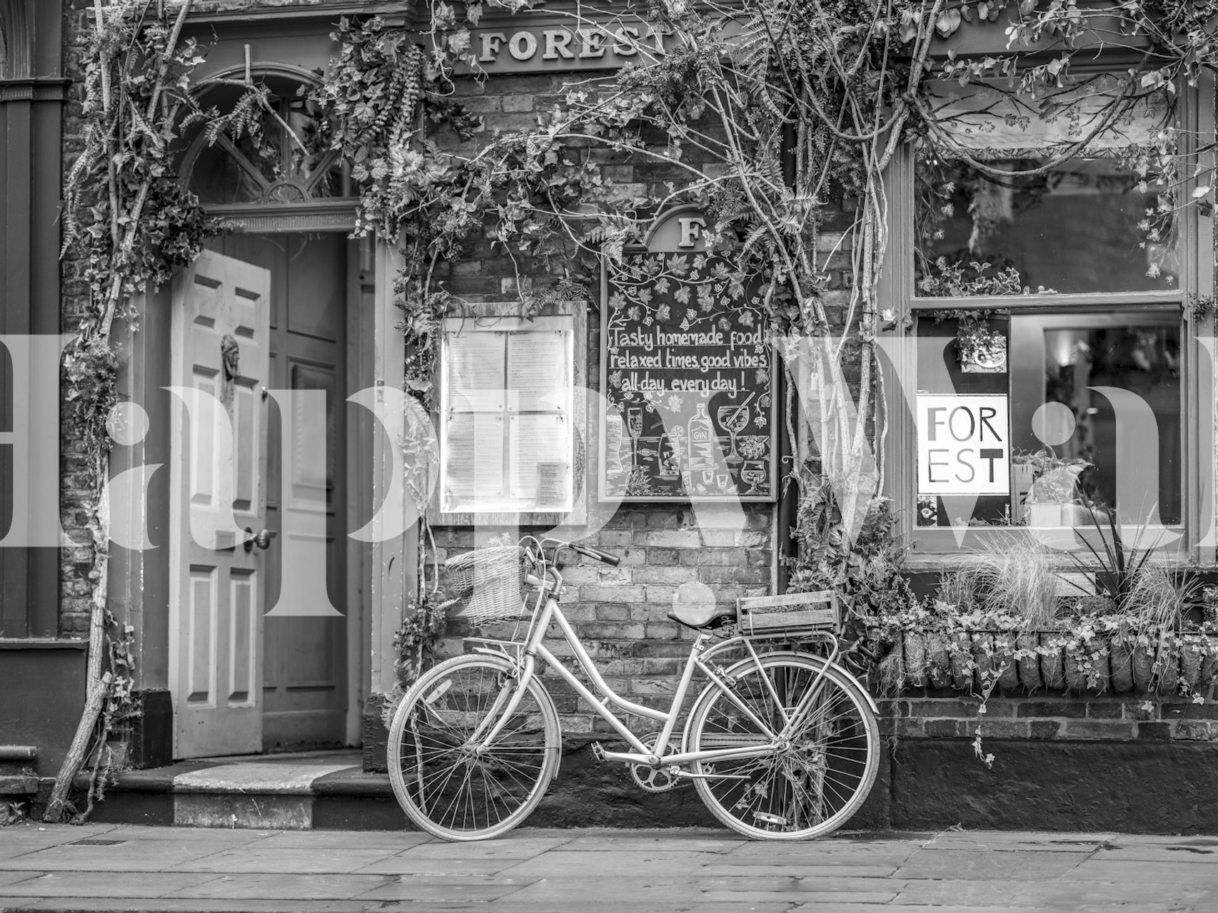 White bicycle against a brick wall with vines, black and white wallpaper