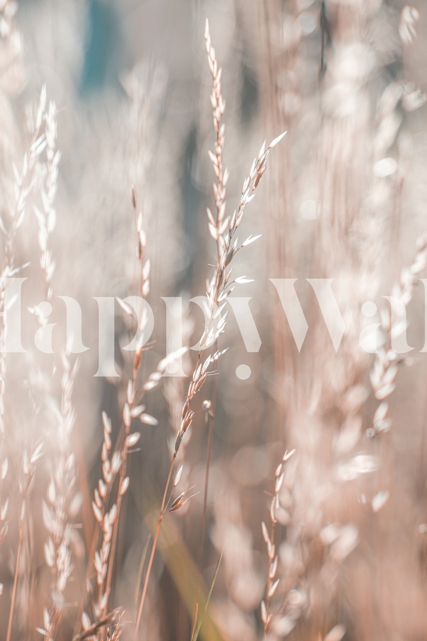 Wild Grass Summer Light wallpaper in a room