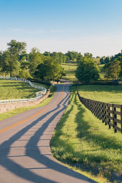 Τοιχογραφία