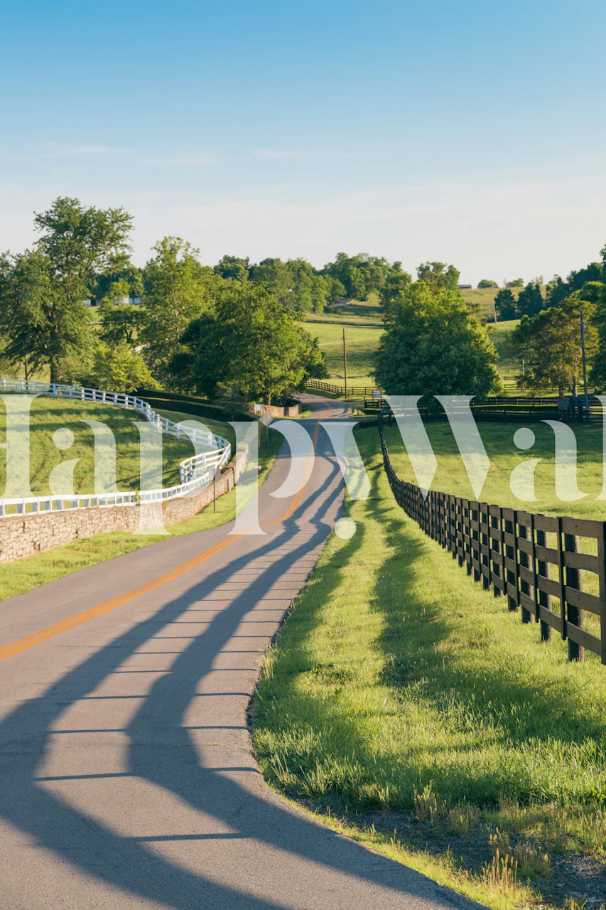 Countryside road scene tapet i ett rum