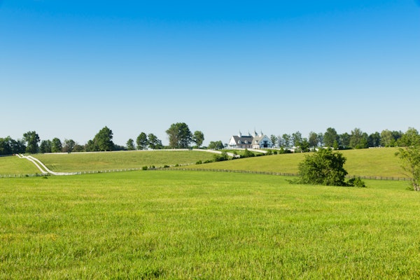 Tranquil Country Escape