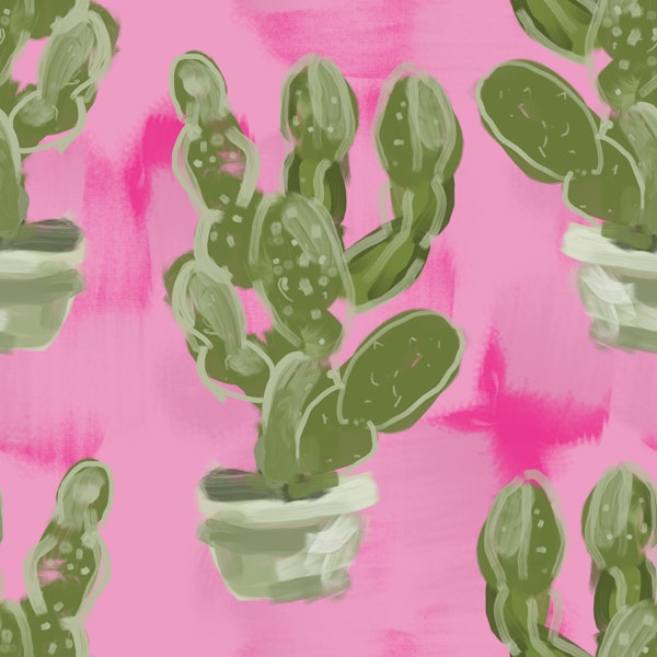 Cactus Art with Pink Vibe