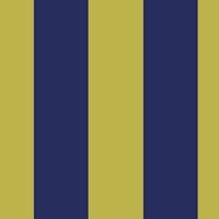 Moody navy and chartreuse awning stripe tapet