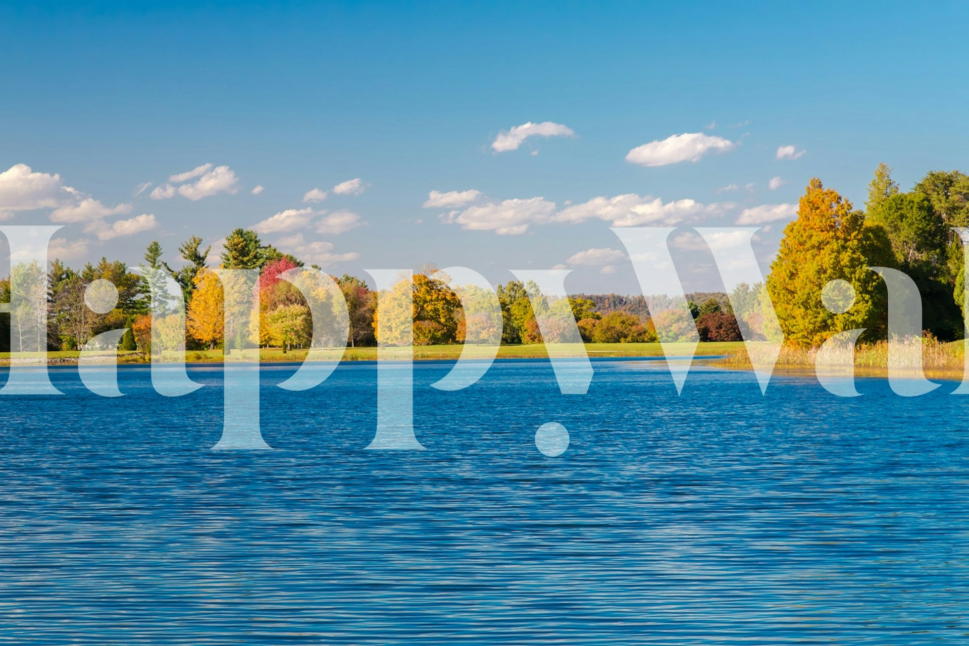 Autumnal lake scene with vibrant trees and clear blue sky wallpaper