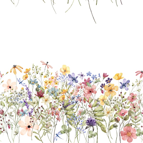 Floral border ceiling from top pattern