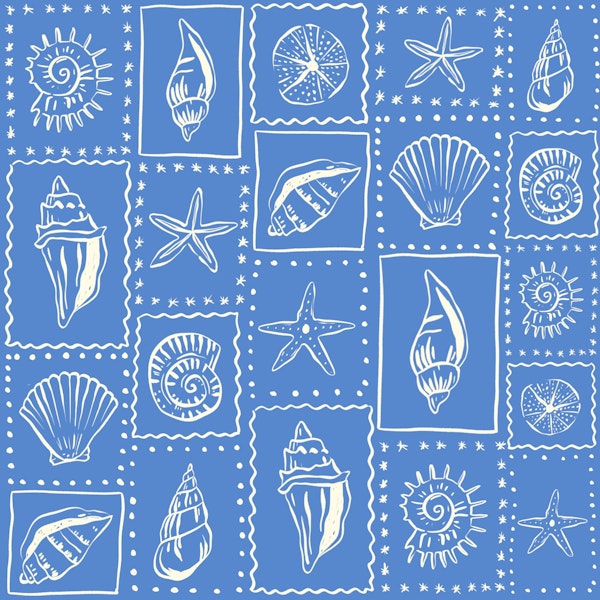 Nautical Seashells