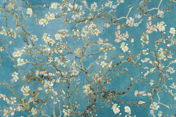 Van Gogh Inspired Blossom Art