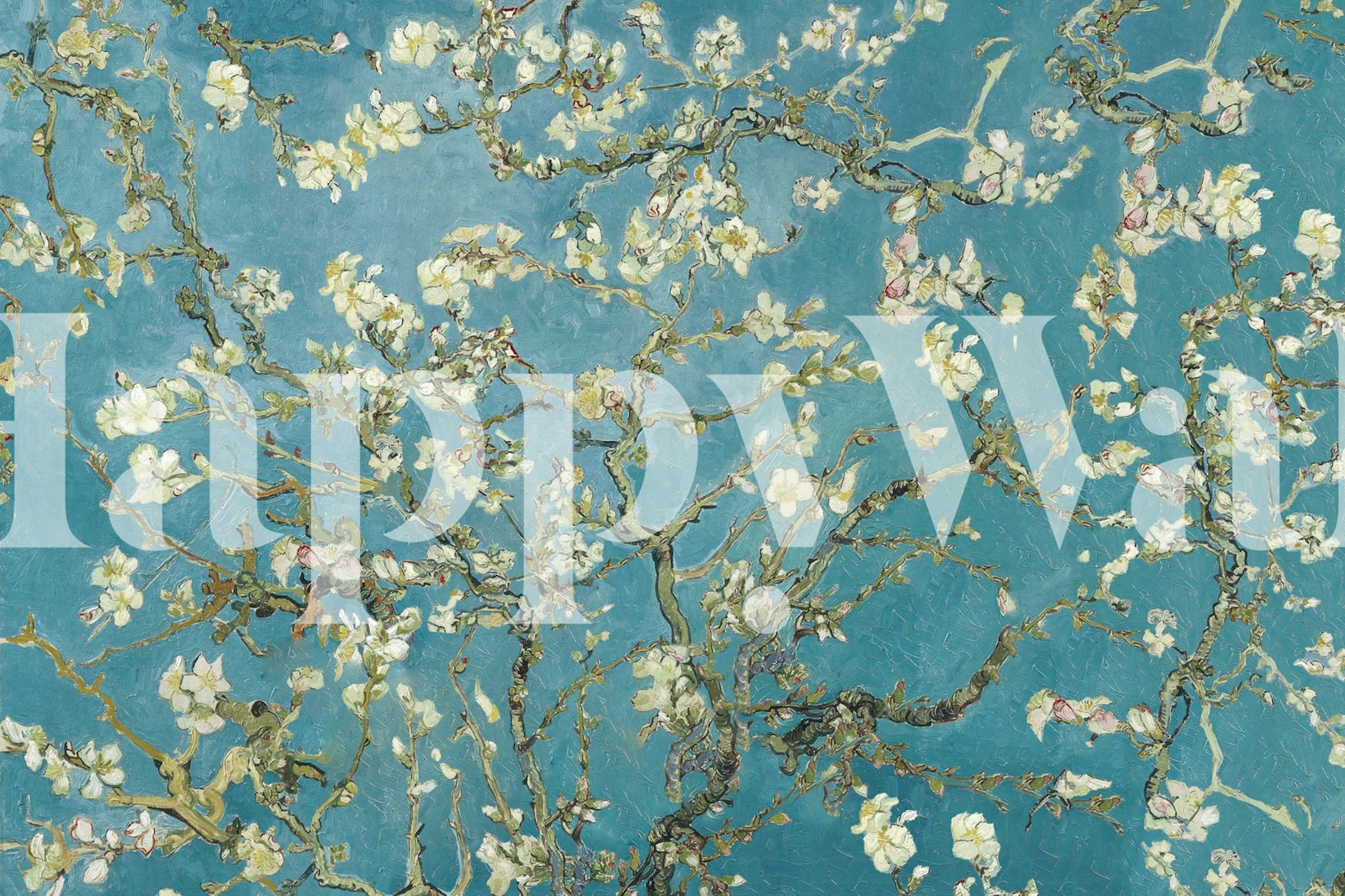 Blossoming white flowers on blue background wallpaper