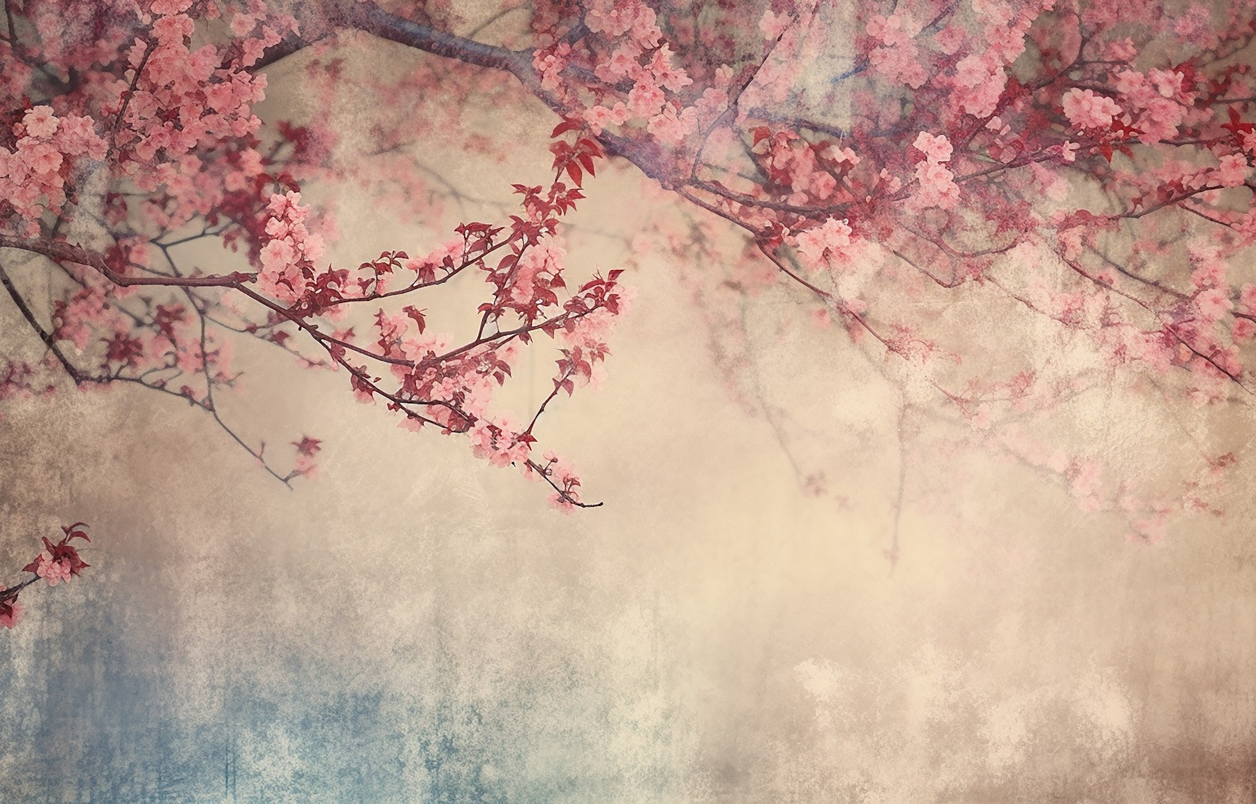 fundo